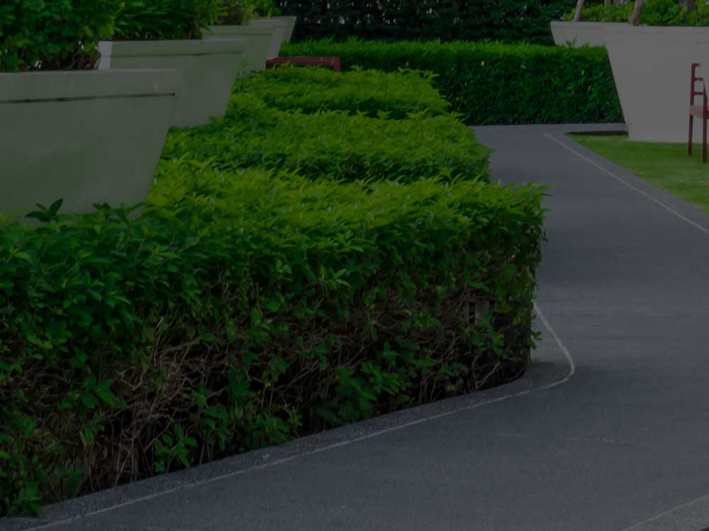 St. Catharines Commercial Landscaping
